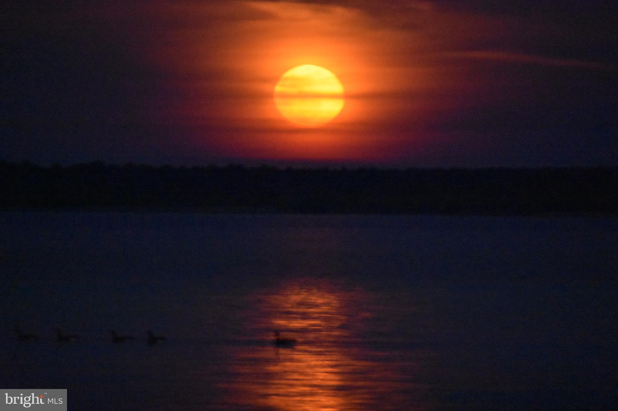 1360 Calvert Road Chester, MD 21619 - Photo 56 of 66