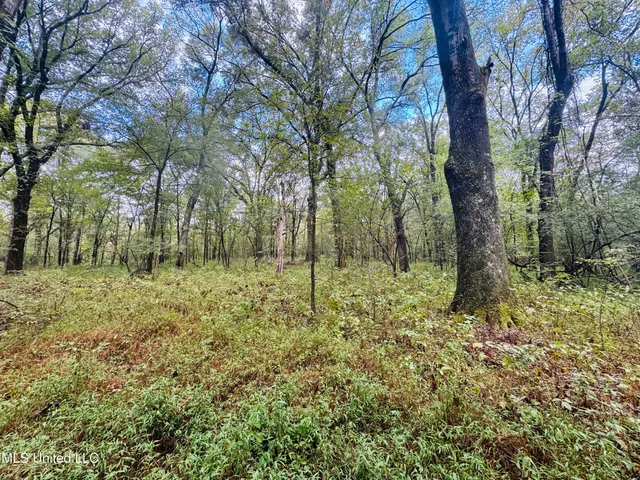 $1,395,000 | 0 Cooperlow Road, Coldwater, MS 38618
