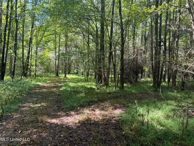 $1,395,000 | 0 Cooperlow Road, Coldwater, MS 38618