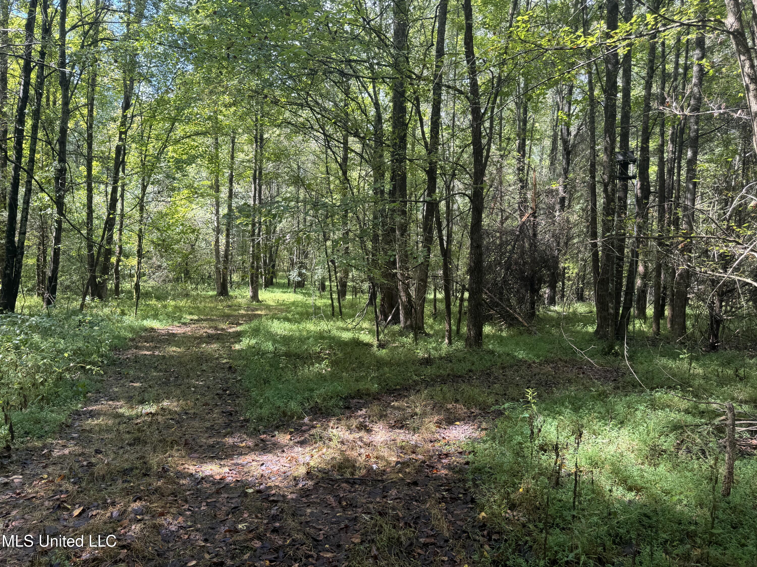 0 Cooperlow Road Coldwater, MS 38618 - Photo 16 of 59 Convergence Ladder