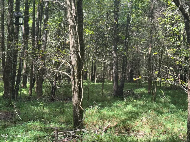 $1,395,000 | 0 Cooperlow Road, Coldwater, MS 38618