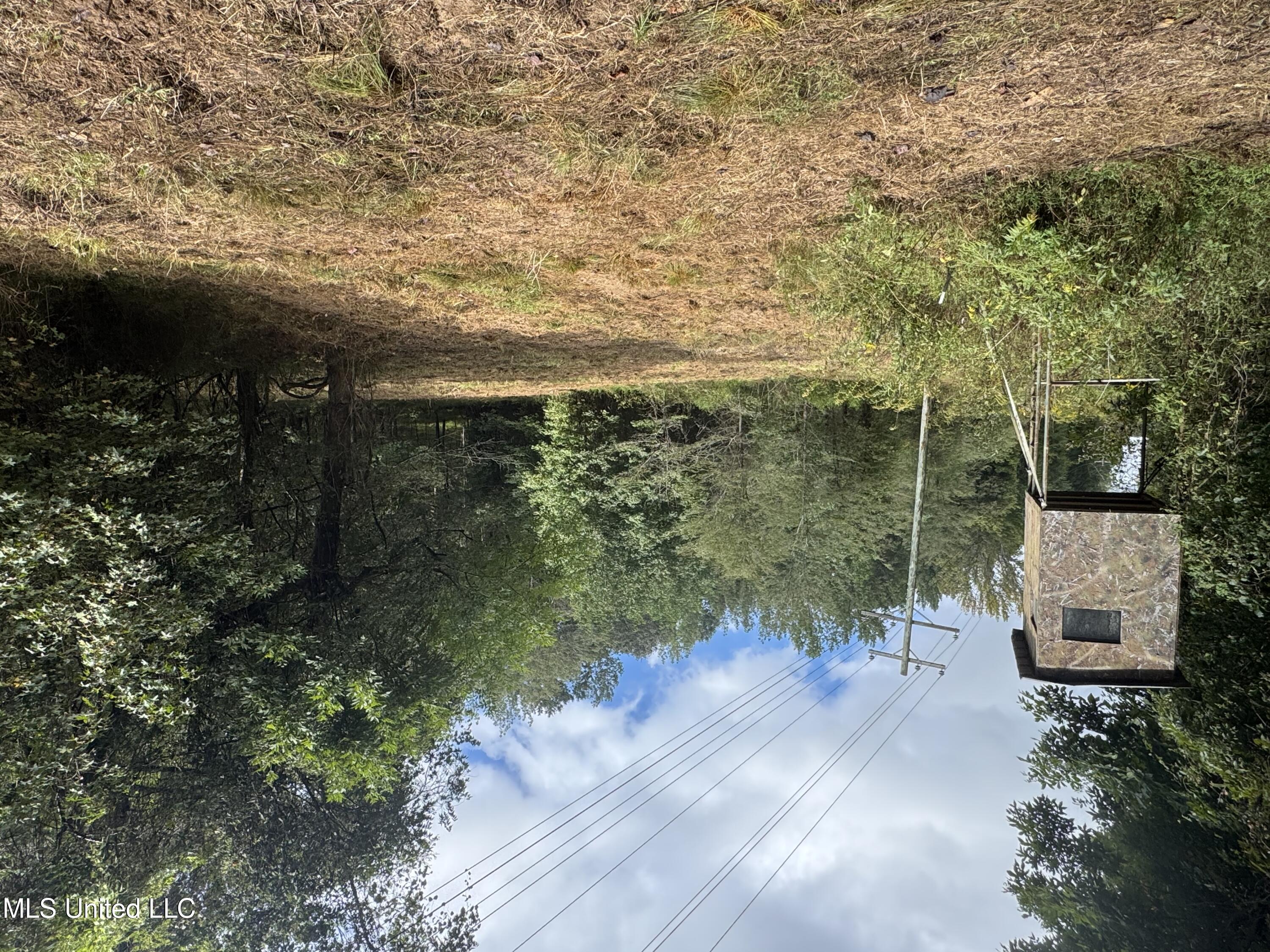 0 Cooperlow Road Coldwater, MS 38618 - Photo 2 of 59 Box