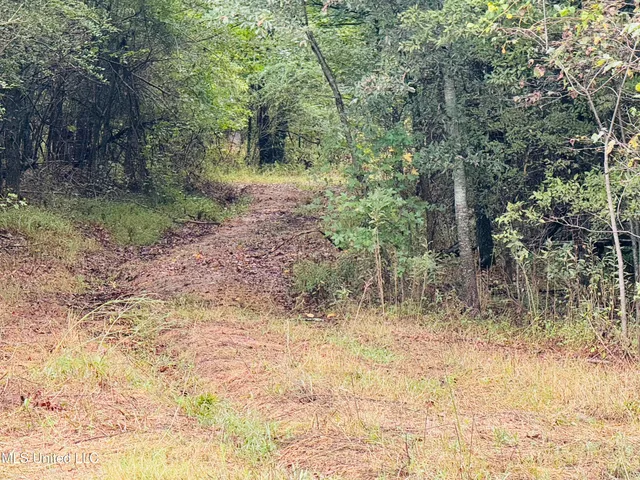 $1,395,000 | 0 Cooperlow Road, Coldwater, MS 38618