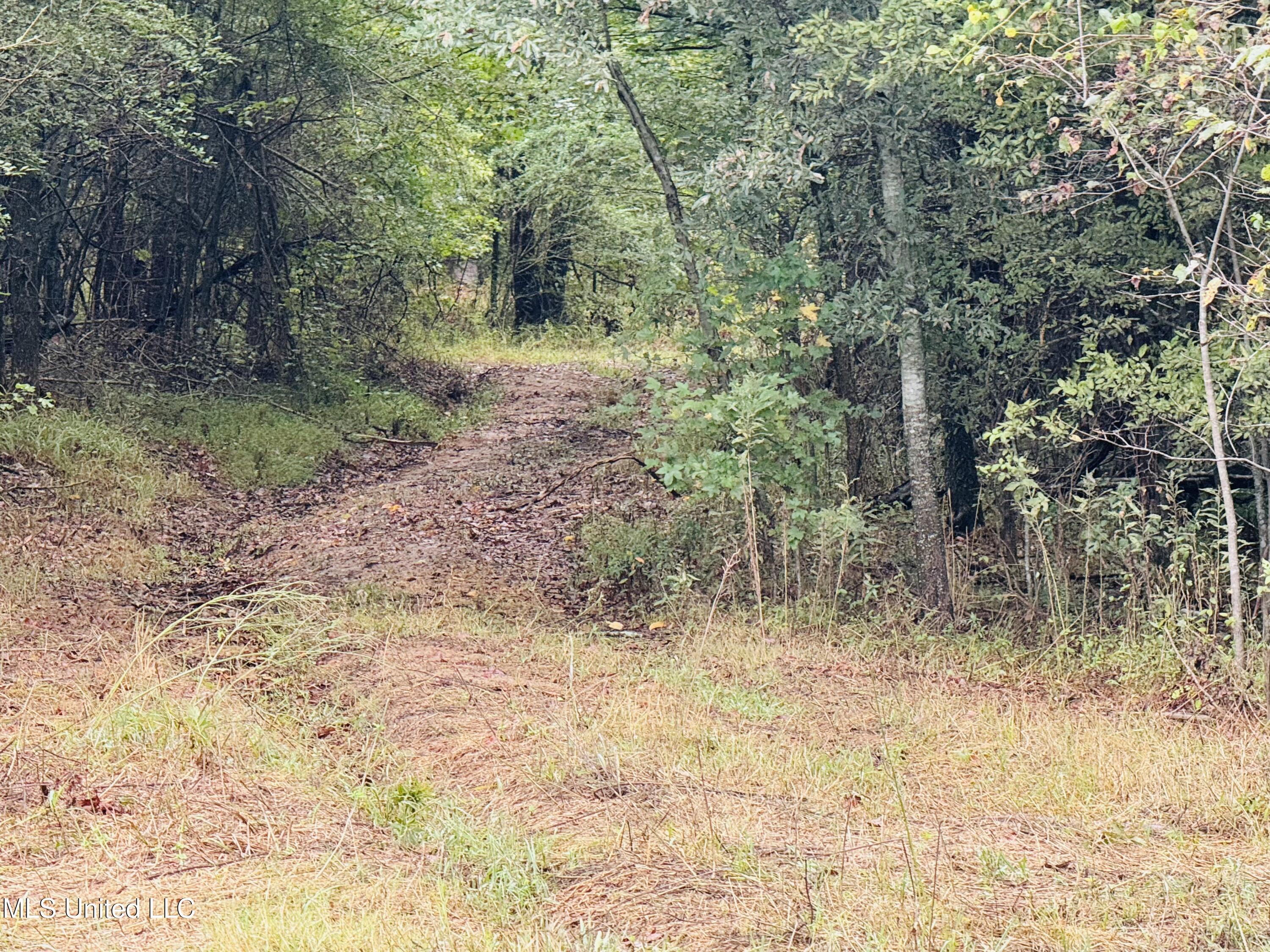 0 Cooperlow Road Coldwater, MS 38618 - Photo 21 of 59 Entrance