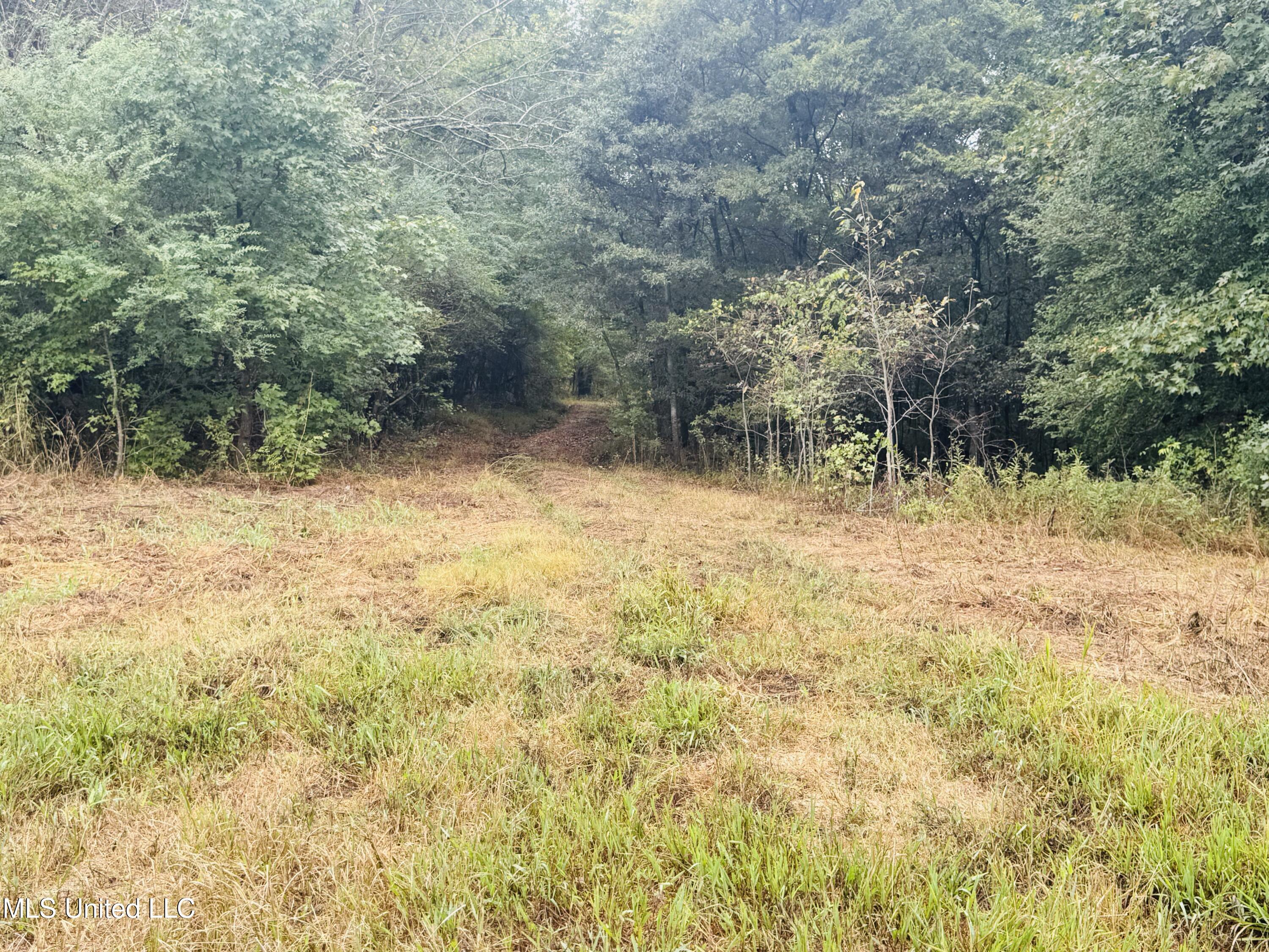 0 Cooperlow Road Coldwater, MS 38618 - Photo 22 of 59 Entrance2