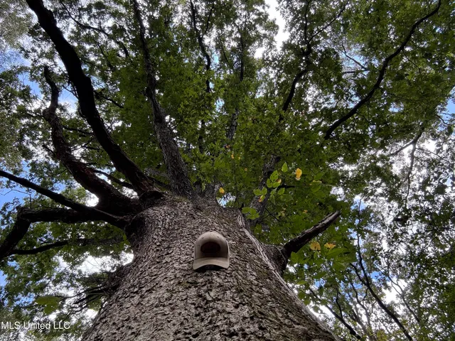 $1,395,000 | 0 Cooperlow Road, Coldwater, MS 38618