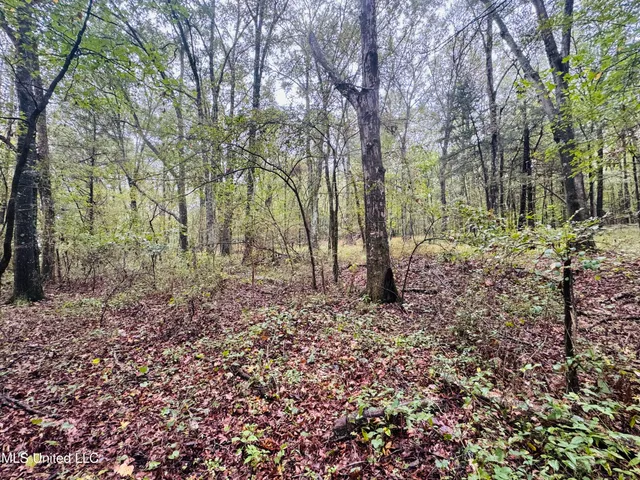 $1,395,000 | 0 Cooperlow Road, Coldwater, MS 38618