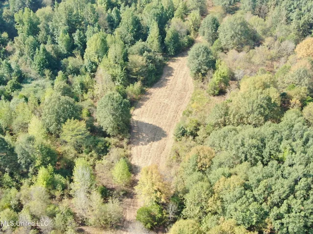$1,395,000 | 0 Cooperlow Road, Coldwater, MS 38618