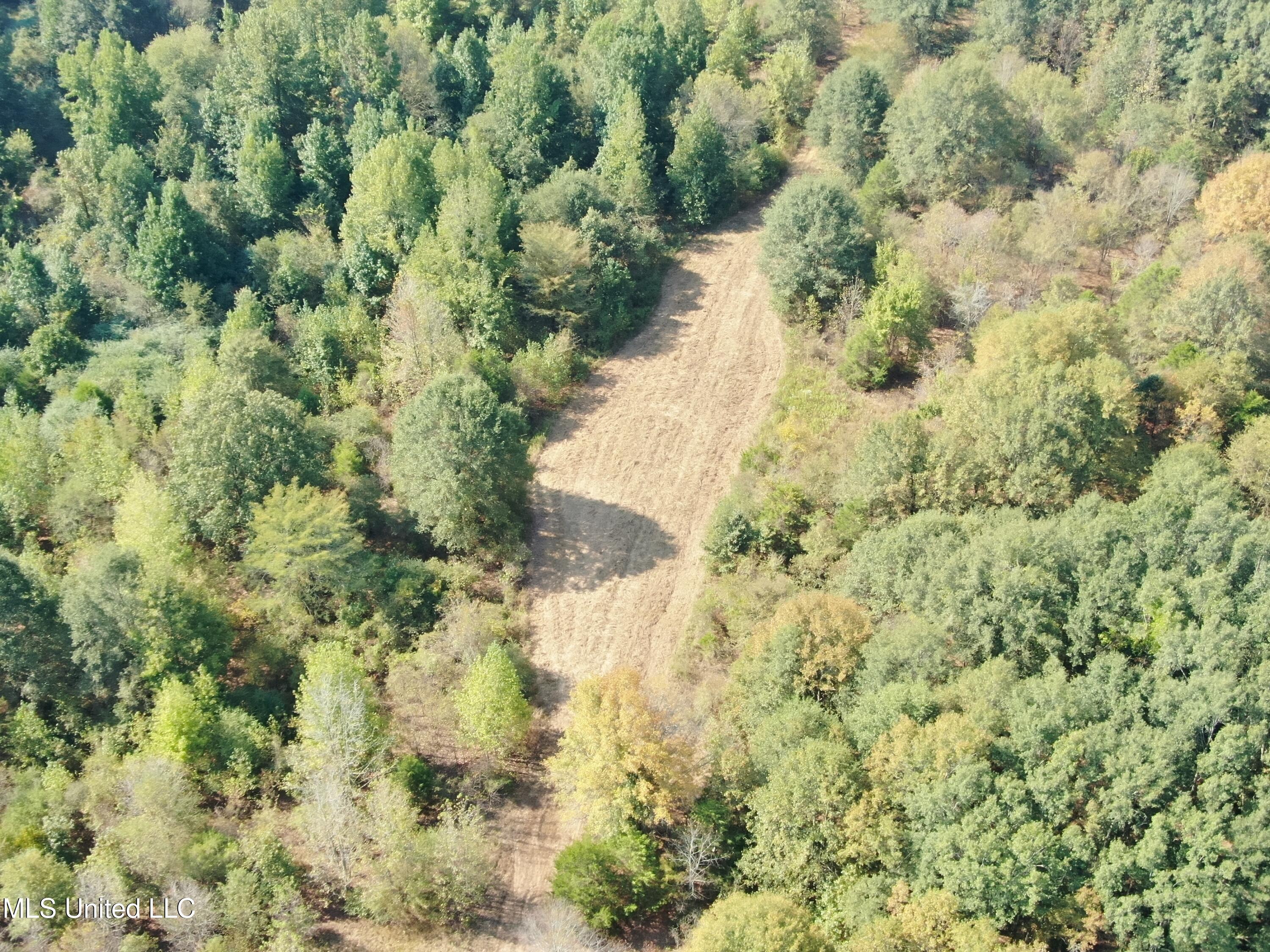 0 Cooperlow Road Coldwater, MS 38618 - Photo 27 of 59 Interior Plot