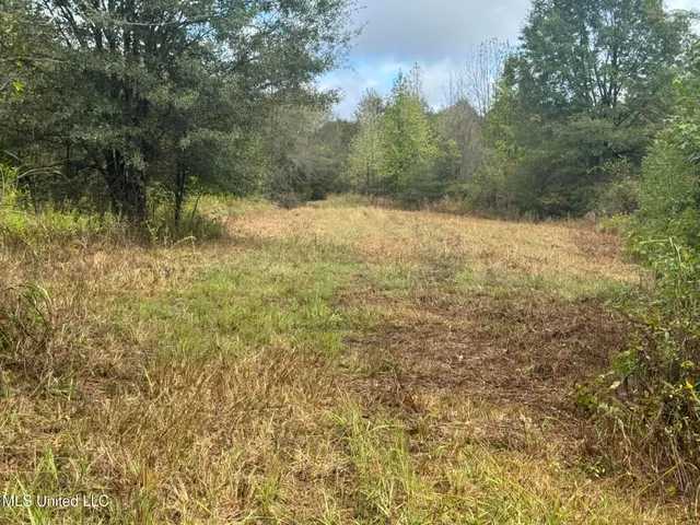 $1,395,000 | 0 Cooperlow Road, Coldwater, MS 38618