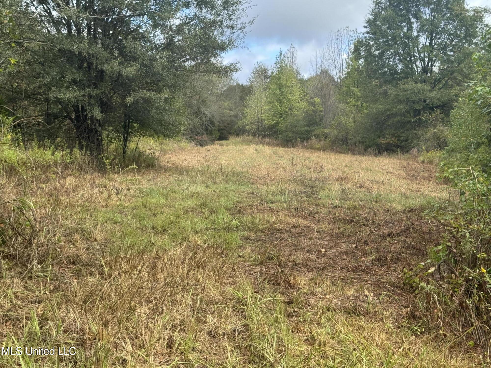 0 Cooperlow Road Coldwater, MS 38618 - Photo 28 of 59 Interior Plot(1)