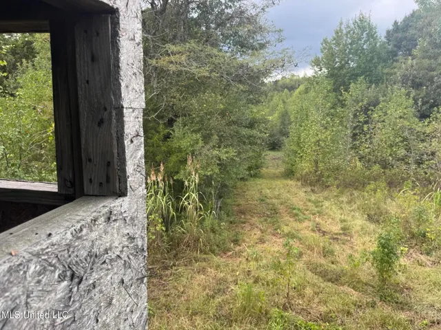 $1,395,000 | 0 Cooperlow Road, Coldwater, MS 38618