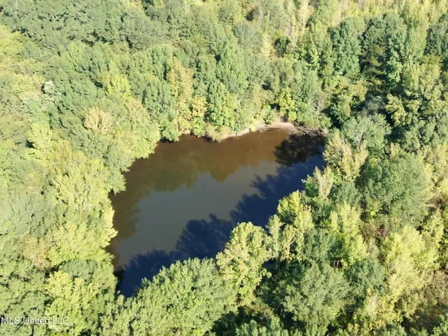 $1,395,000 | 0 Cooperlow Road, Coldwater, MS 38618