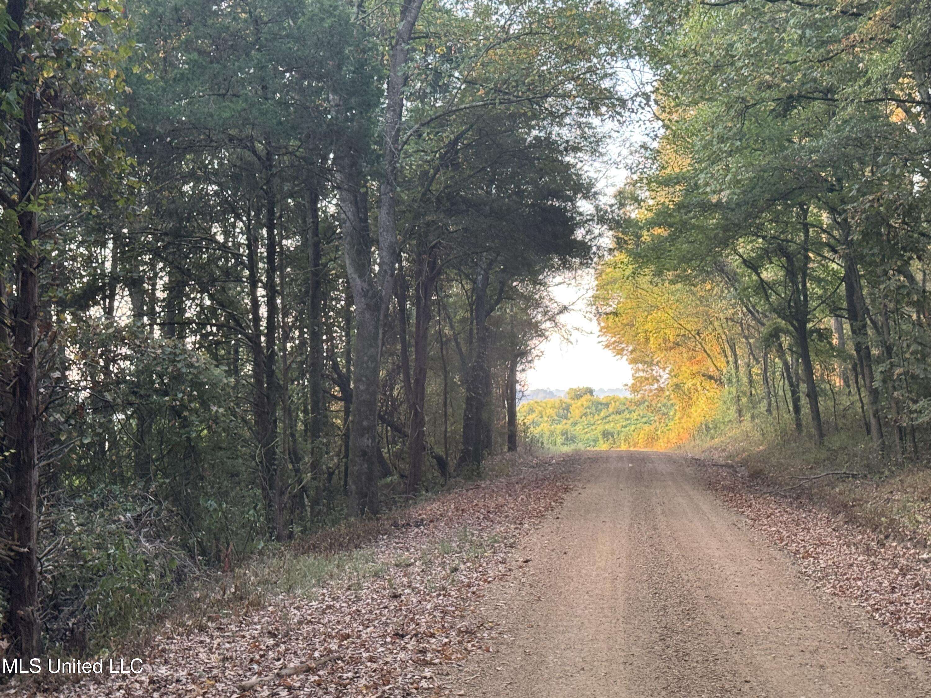 0 Cooperlow Road Coldwater, MS 38618 - Photo 3 of 59 2 Gravel Road