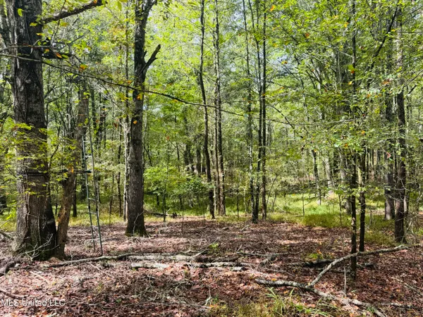 $1,395,000 | 0 Cooperlow Road, Coldwater, MS 38618