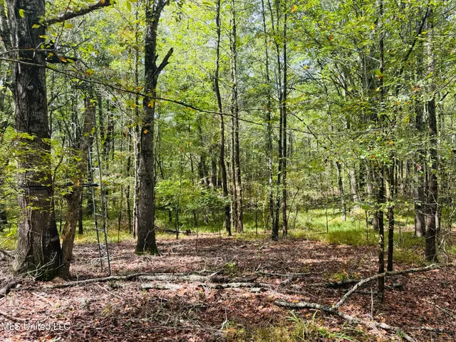 $1,395,000 | 0 Cooperlow Road, Coldwater, MS 38618