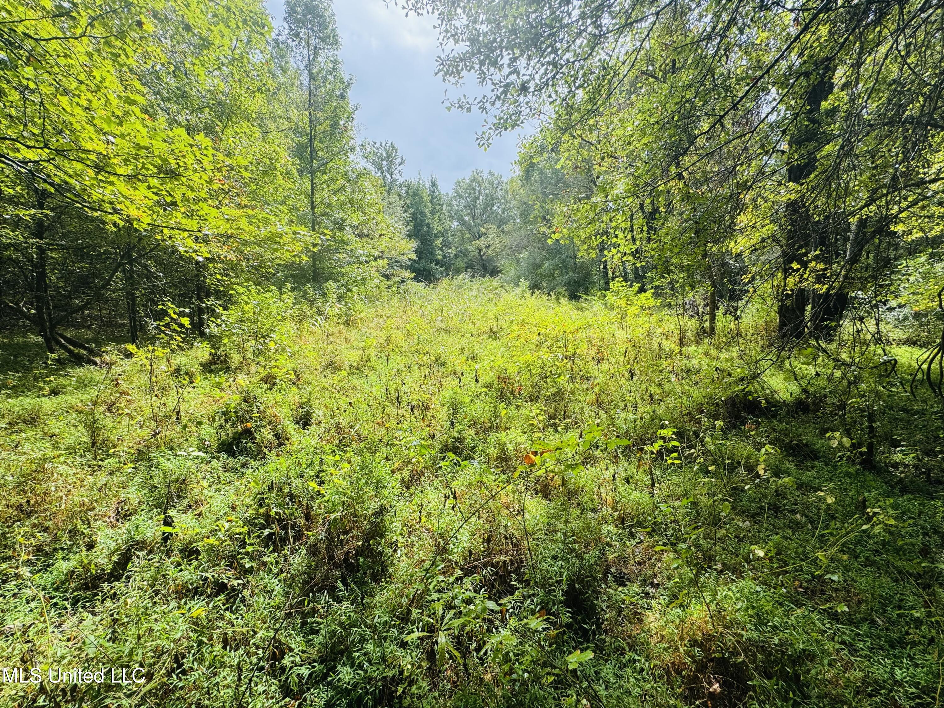 0 Cooperlow Road Coldwater, MS 38618 - Photo 33 of 59 Old Plot