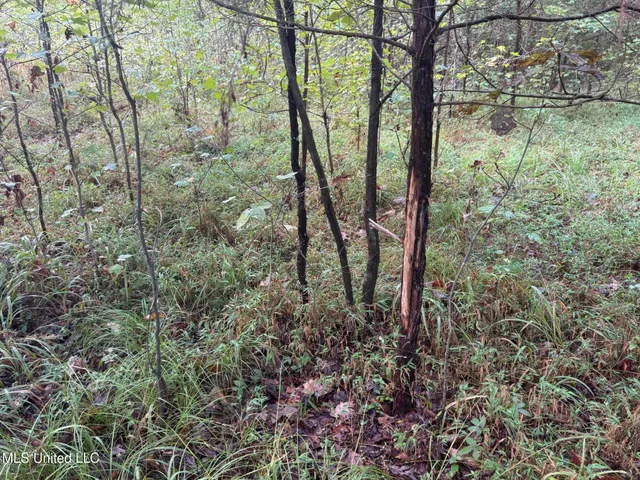 $1,395,000 | 0 Cooperlow Road, Coldwater, MS 38618