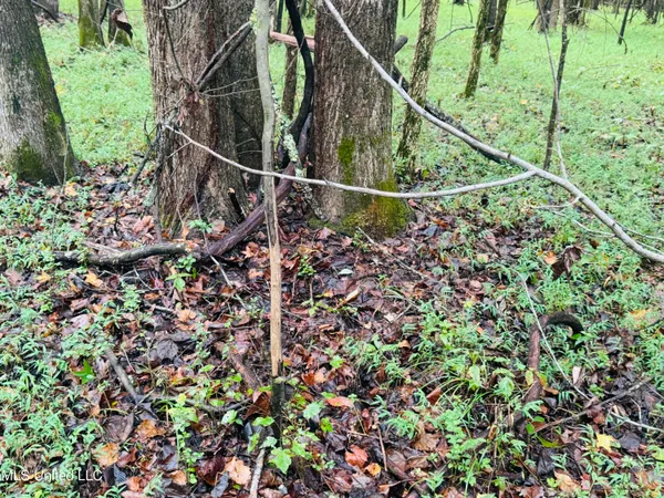 $1,395,000 | 0 Cooperlow Road, Coldwater, MS 38618