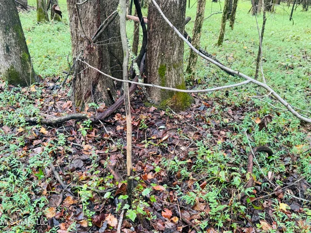 $1,395,000 | 0 Cooperlow Road, Coldwater, MS 38618