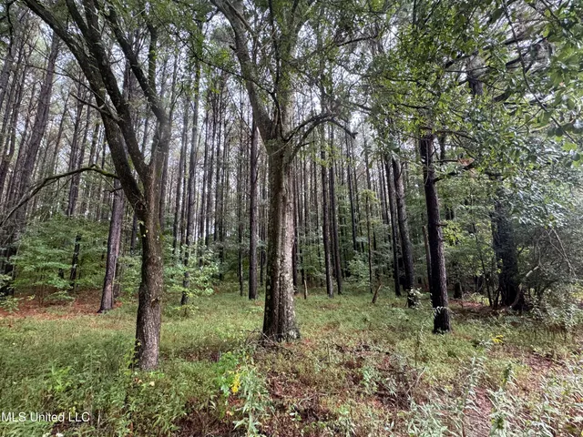 $1,395,000 | 0 Cooperlow Road, Coldwater, MS 38618