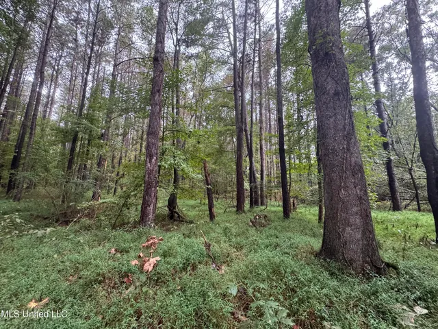 $1,395,000 | 0 Cooperlow Road, Coldwater, MS 38618