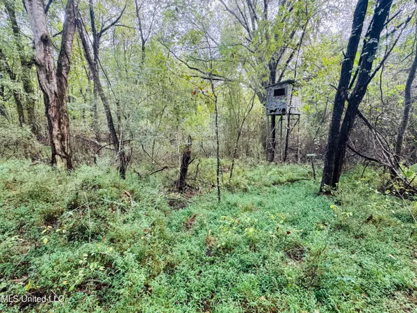 $1,395,000 | 0 Cooperlow Road, Coldwater, MS 38618