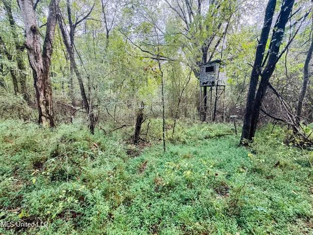 $1,395,000 | 0 Cooperlow Road, Coldwater, MS 38618
