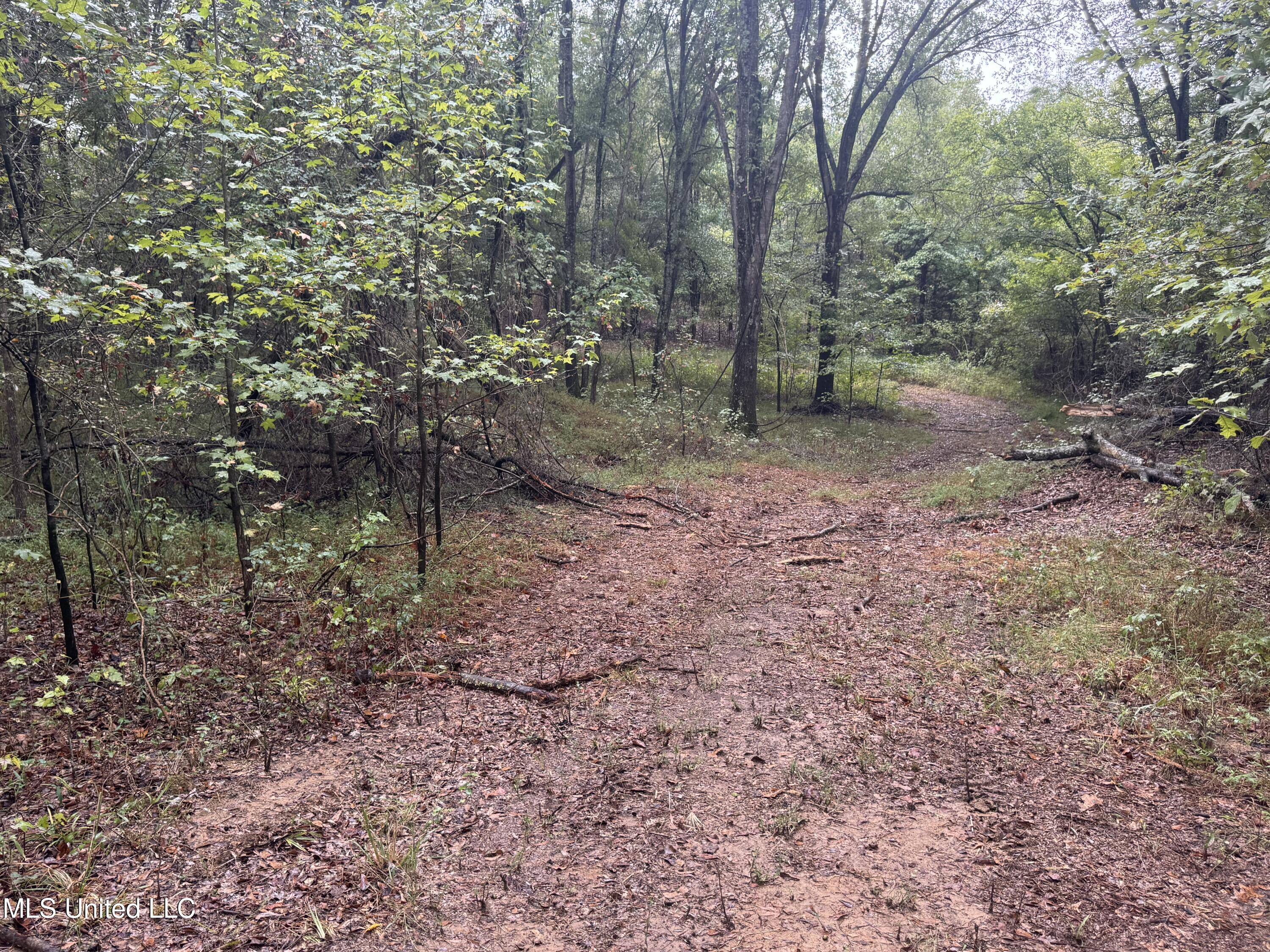 0 Cooperlow Road Coldwater, MS 38618 - Photo 41 of 59 Pond Road