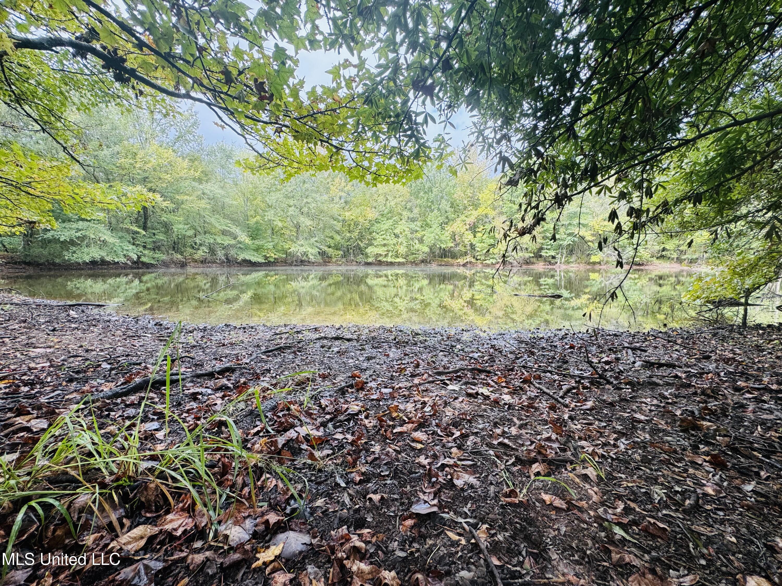 0 Cooperlow Road Coldwater, MS 38618 - Photo 42 of 59 Pond2
