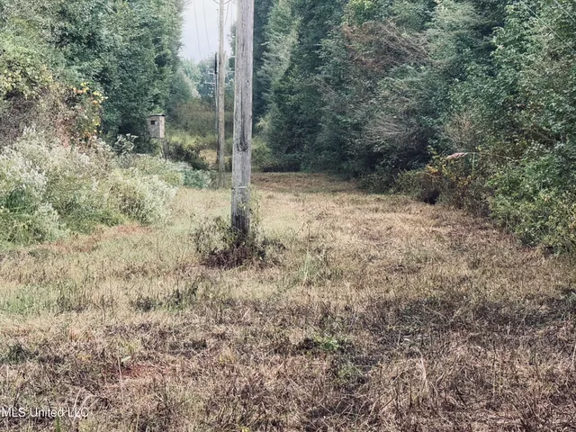 $1,395,000 | 0 Cooperlow Road, Coldwater, MS 38618