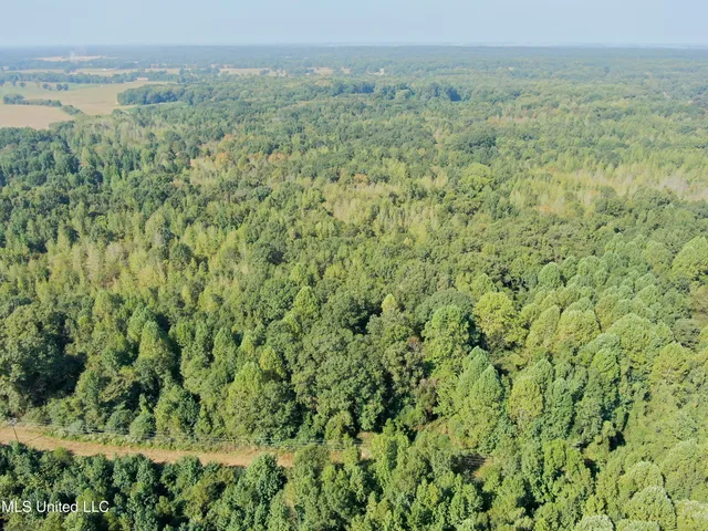 $1,395,000 | 0 Cooperlow Road, Coldwater, MS 38618