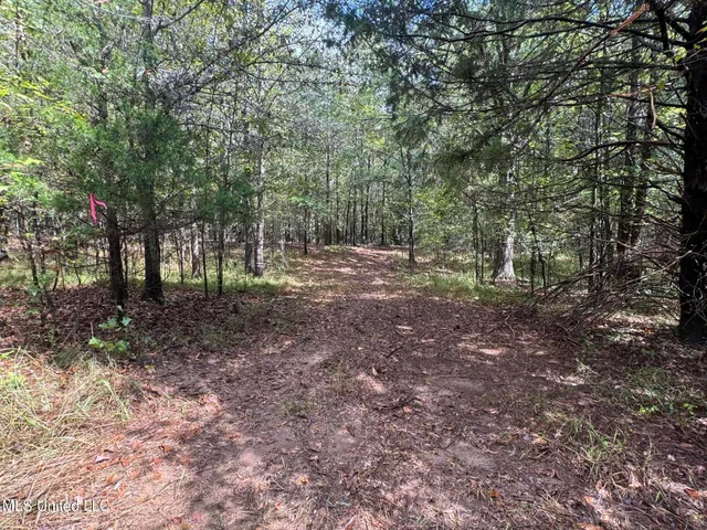 $1,395,000 | 0 Cooperlow Road, Coldwater, MS 38618