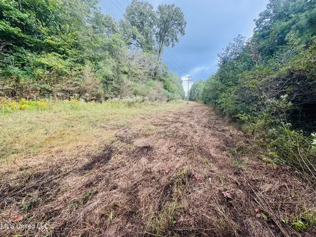 $1,395,000 | 0 Cooperlow Road, Coldwater, MS 38618