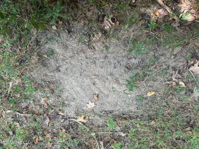 $1,395,000 | 0 Cooperlow Road, Coldwater, MS 38618