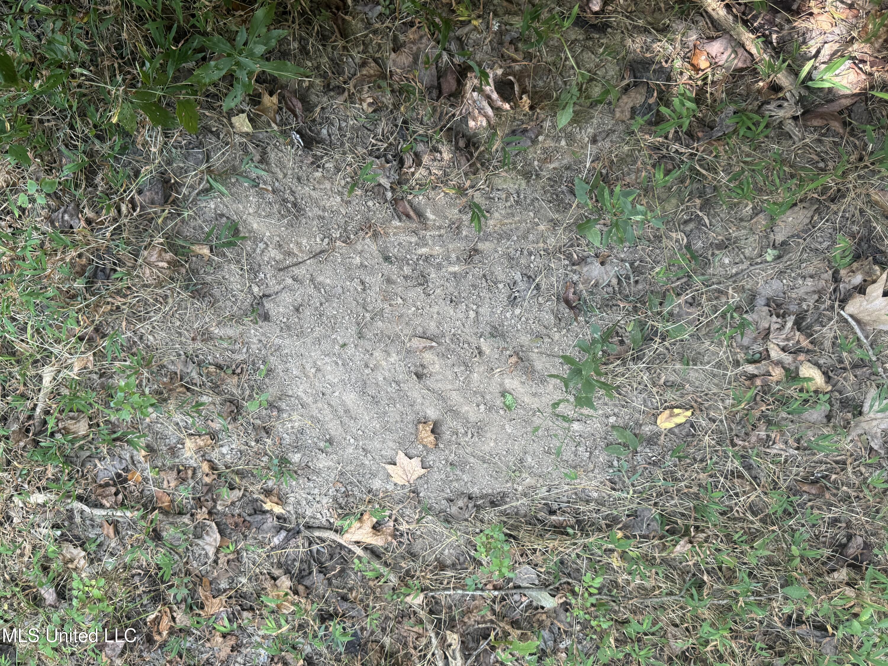 0 Cooperlow Road Coldwater, MS 38618 - Photo 49 of 59 Scrape