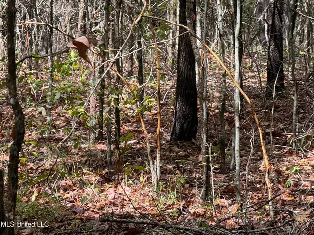 $1,395,000 | 0 Cooperlow Road, Coldwater, MS 38618