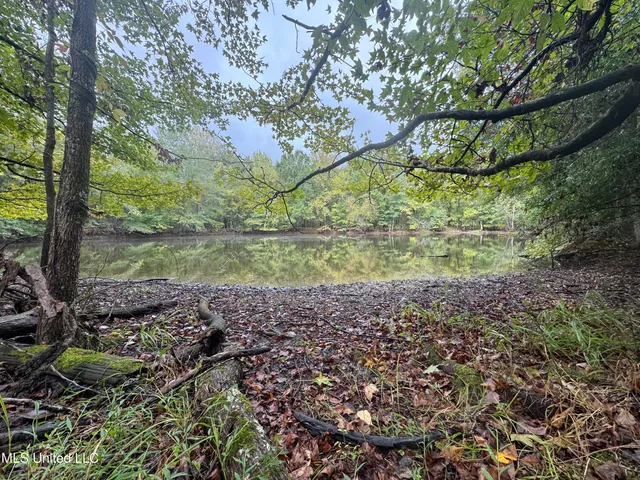 $1,395,000 | 0 Cooperlow Road, Coldwater, MS 38618