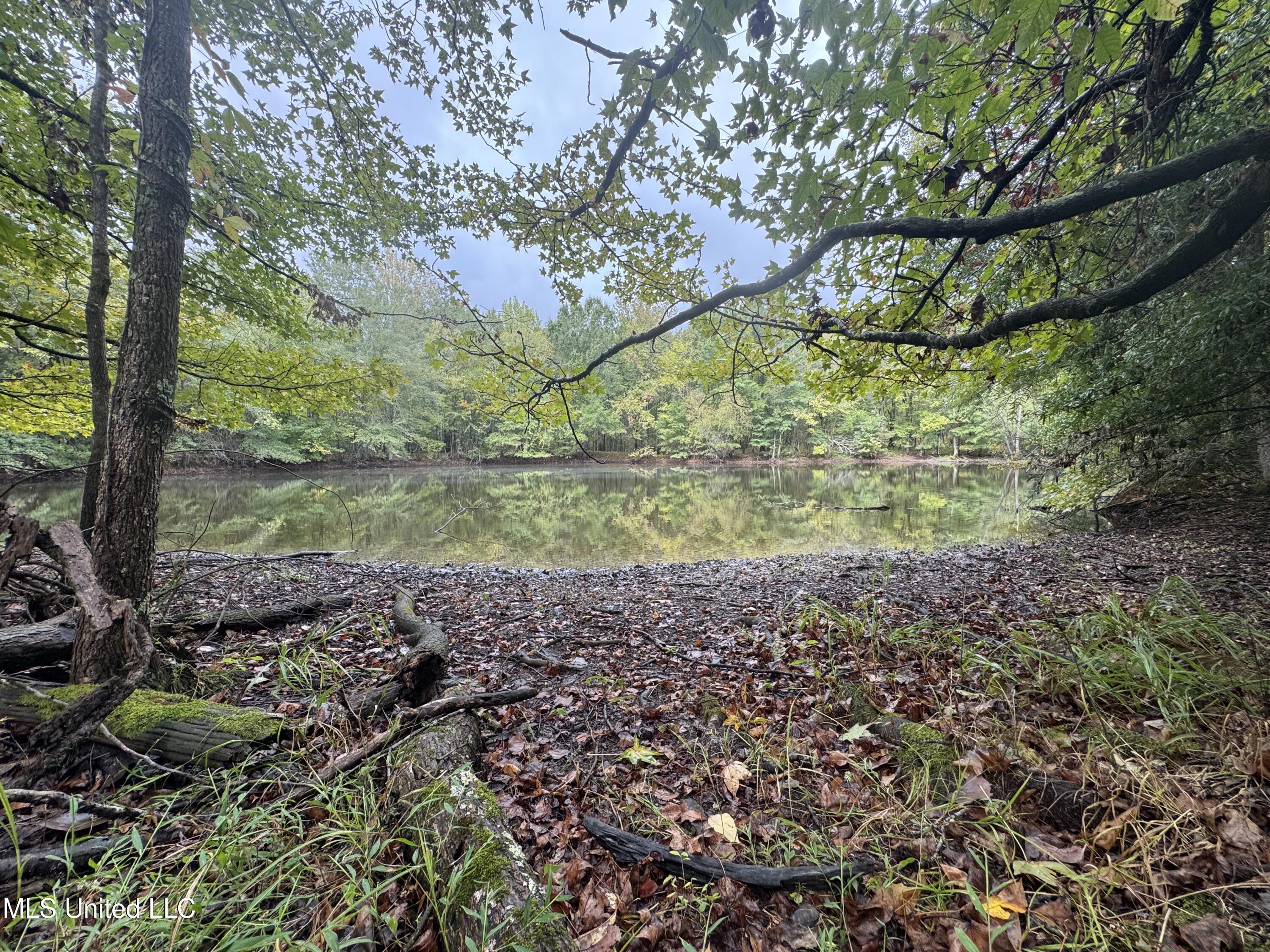 0 Cooperlow Road Coldwater, MS 38618 - Photo 5 of 59 4 Pond