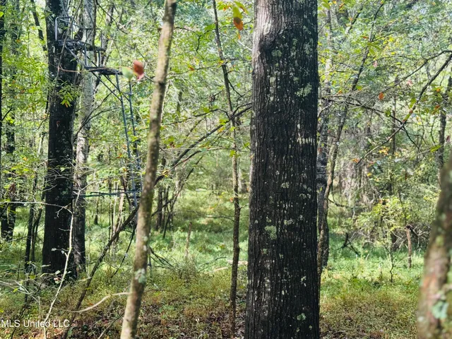 $1,395,000 | 0 Cooperlow Road, Coldwater, MS 38618