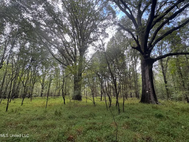 $1,395,000 | 0 Cooperlow Road, Coldwater, MS 38618