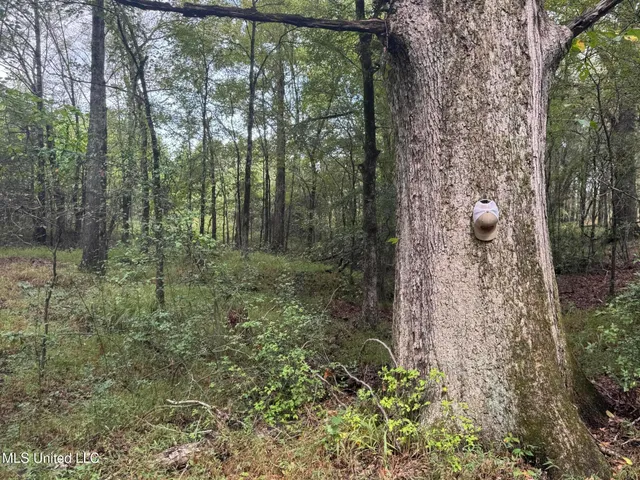 $1,395,000 | 0 Cooperlow Road, Coldwater, MS 38618