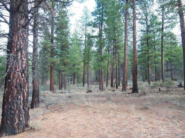 17785 Wilt Road Sisters, OR 97759 - Photo 9 of 25 a view of outdoor space with trees