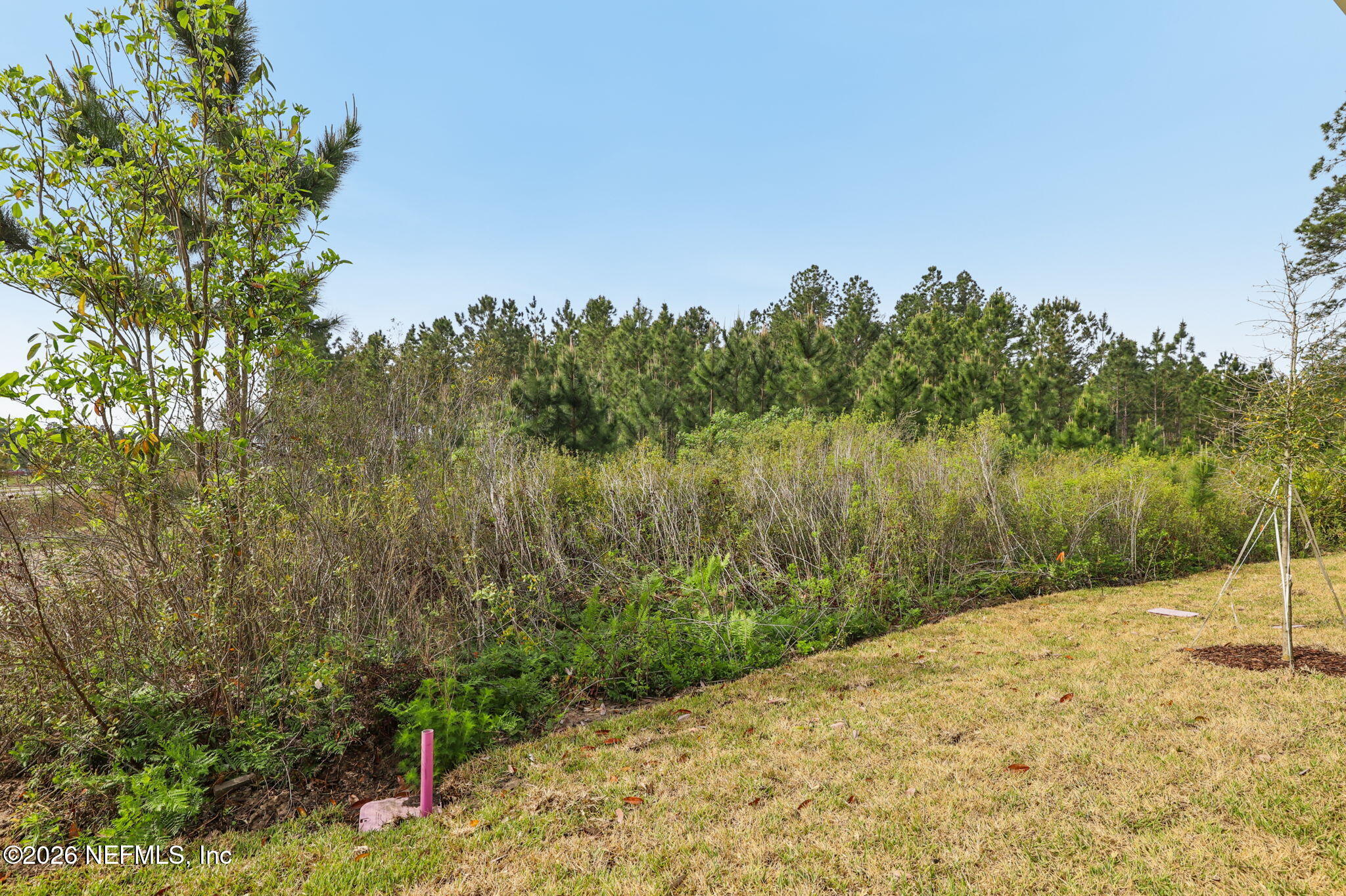25 Rangeline Drive St. Augustine, FL 32092 - Photo 42 of 43 a view of a lake with a yard