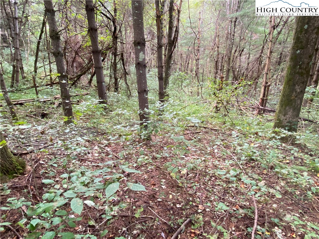 25 Rhododendron Run Fleetwood, NC 28626 - Photo 4 of 9 Gallery Image 4