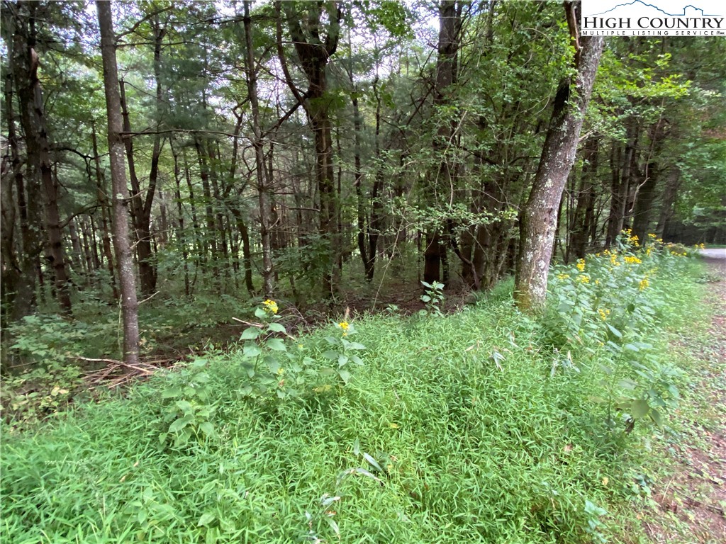 25 Rhododendron Run Fleetwood, NC 28626 - Photo 7 of 9 Gallery Image 7