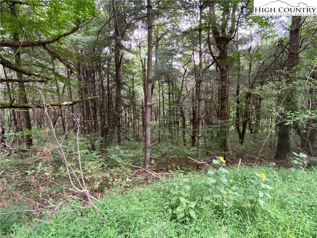 25 Rhododendron Run Fleetwood, NC 28626 - Photo 8 of 9 Gallery Image 8