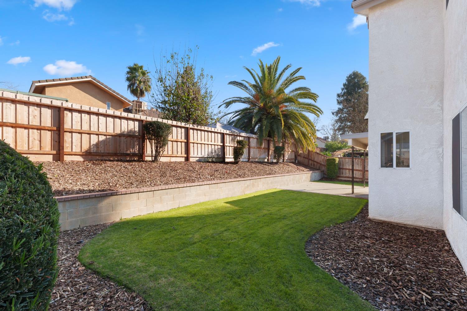 9342 North Archie Avenue Fresno, CA 93720 - Photo 35 of 36 a view of a backyard with plants and palm tree