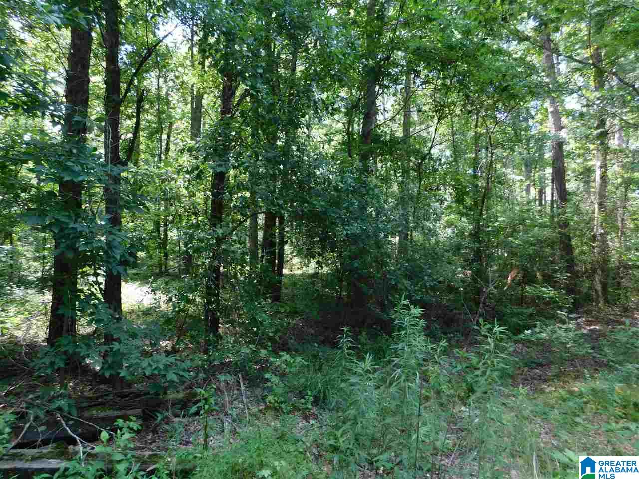 4739 Goocher Road Bessemer, AL 35022 - Photo 1 of 1