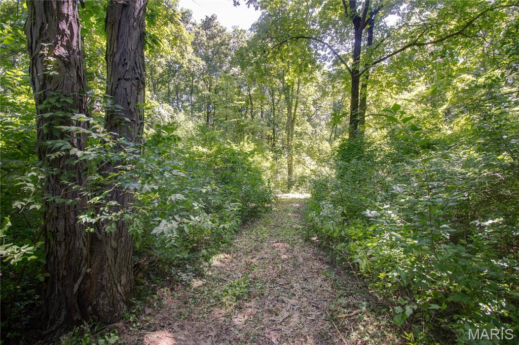 9368 Rhea Park Road Loami, IL 62661 - Photo 36 of 54